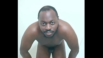 Scorpio zodiac animals that are green like a leaf 1