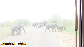 Naughty black hottie masturbates in front of her white boyfriend till her pussy drips