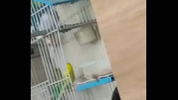 Alface pego na rapidinha com uma piriquita gostosa demais muito linda Alface pego na rapidinha com uma piriquita gostosa demais muito linda