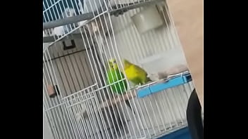 Alface Pego Na Rapidinha Com Uma Piriquita Gostosa Demais Muito Linda thumbnail