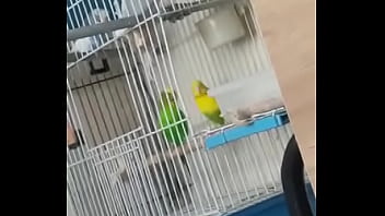 Alface Pego Na Rapidinha Com Uma Piriquita Gostosa Demais Muito Linda thumbnail