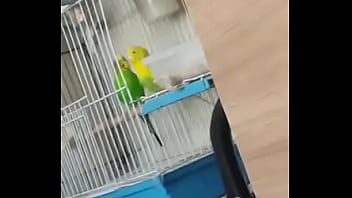 Alface Pego Na Rapidinha Com Uma Piriquita Gostosa Demais Muito Linda thumbnail