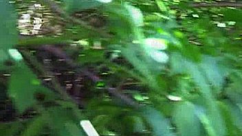 Naked asian outdoors