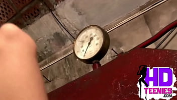 Cute brunette with nice perky tits