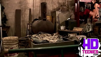 Cute brunette with nice perky tits