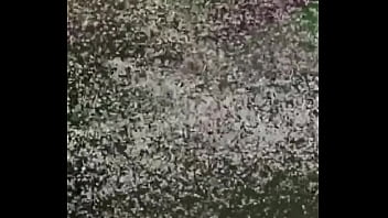 Past present thoughts