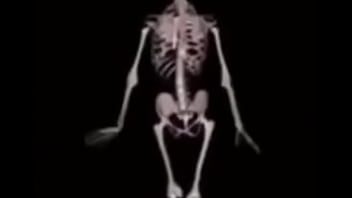 Mulher deliciosa da capa em ladrão com a buceta