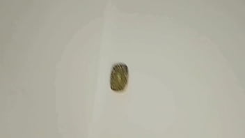 Vivi guedez shooting milk inside her pussy all over her hair