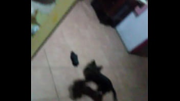 Vídeo de verificación