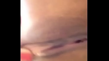 My good day love your perfect cat