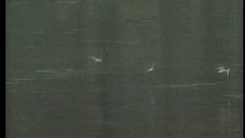 Megan dentro la mia notizia 1