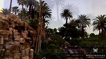 W e s t m o o r e entertainment