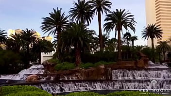 W e s t m o o r e entertainment