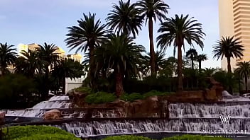 W e s t m o o r e entertainment