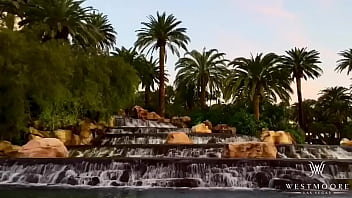 W e s t m o o r e entertainment