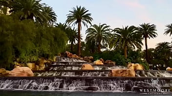 W e s t m o o r e entertainment