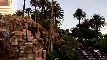 W e s t m o o r e entertainment