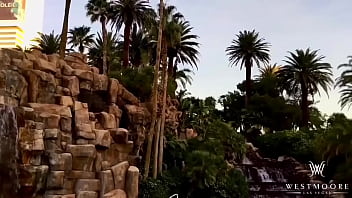 W e s t m o o r e entertainment