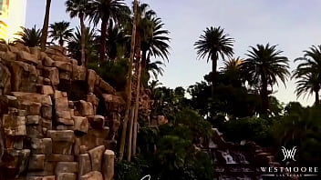 W e s t m o o r e entertainment