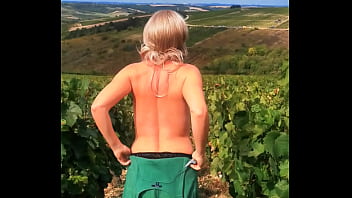 Ivresse des vendanges