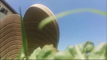 My Beautiful Bare Feet Caressing The Grass thumbnail