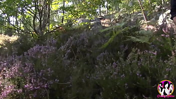 Cheeky lady in the forest fucks with three guys