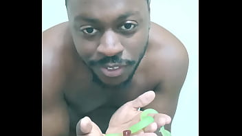 Scorpio zodiac animals that are green like a leaf 3