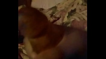 Make that pussy cum Make that pussy cum