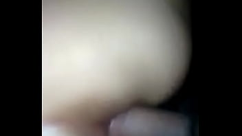 Dea perrito Dea perrito