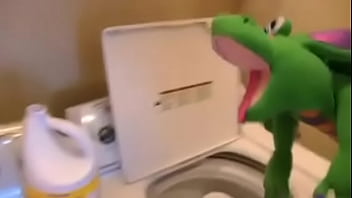 Dragon in the laundry