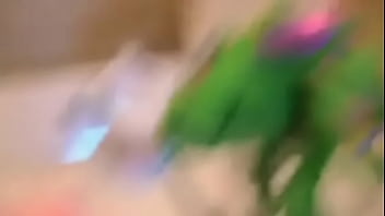 Dragon in the laundry