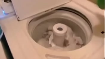 Dragon in the laundry