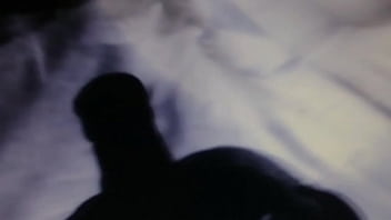 Fotze'n anal fuckin' sauger