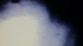 Fotze'n anal fuckin' sauger