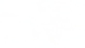 Ebony intimacy seuxal chocolate