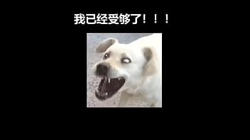 【我好想靜靜系列#1】