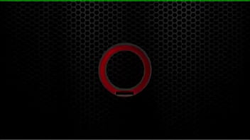 Penny pax feels frisky in the kitchen she climbs onto the counter