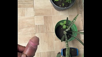 Espiando a mi vecina por la ventana y me masturbo viendo su rico culo todos mis videos completos en mi página de sexy lana more