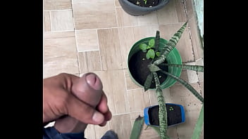 Espiando a mi vecina por la ventana y me masturbo viendo su rico culo todos mis videos completos en mi página de sexy lana more