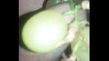 Quanto mais chupar melhor