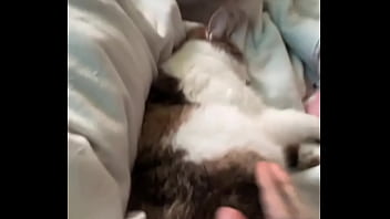 The struggle is real you know that #catmom #cat #cats #kitten #feline