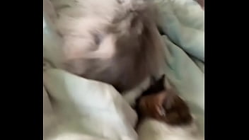 The struggle is real you know that #catmom #cat #cats #kitten #feline