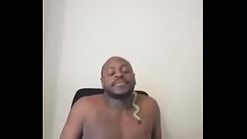 Other colors these scorpio zodiac animals show up in 1