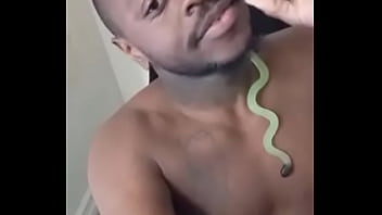 Other colors these scorpio zodiac animals show up in 1