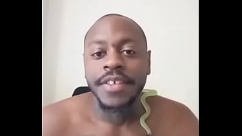 Other colors these scorpio zodiac animals show up in 1