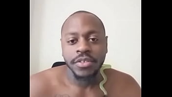 Other colors these scorpio zodiac animals show up in 1