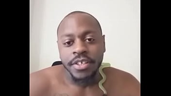 Other colors these scorpio zodiac animals show up in 1