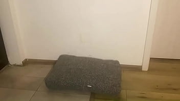 Preview 24 adventures of milfycalla ep24 a lonly daymilfycalla was a woman who lived alone in a small apartment in the he