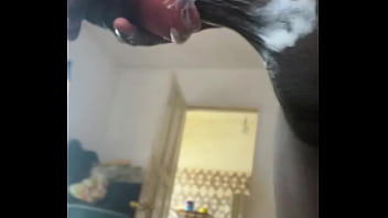 Sneak peak off let daddy it his dick all in till you cream like a slut