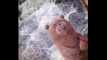 Bolivianamimifans thumbnail